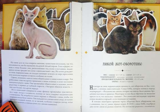 Кошки - книга-энциклопедия о кошках и их породах